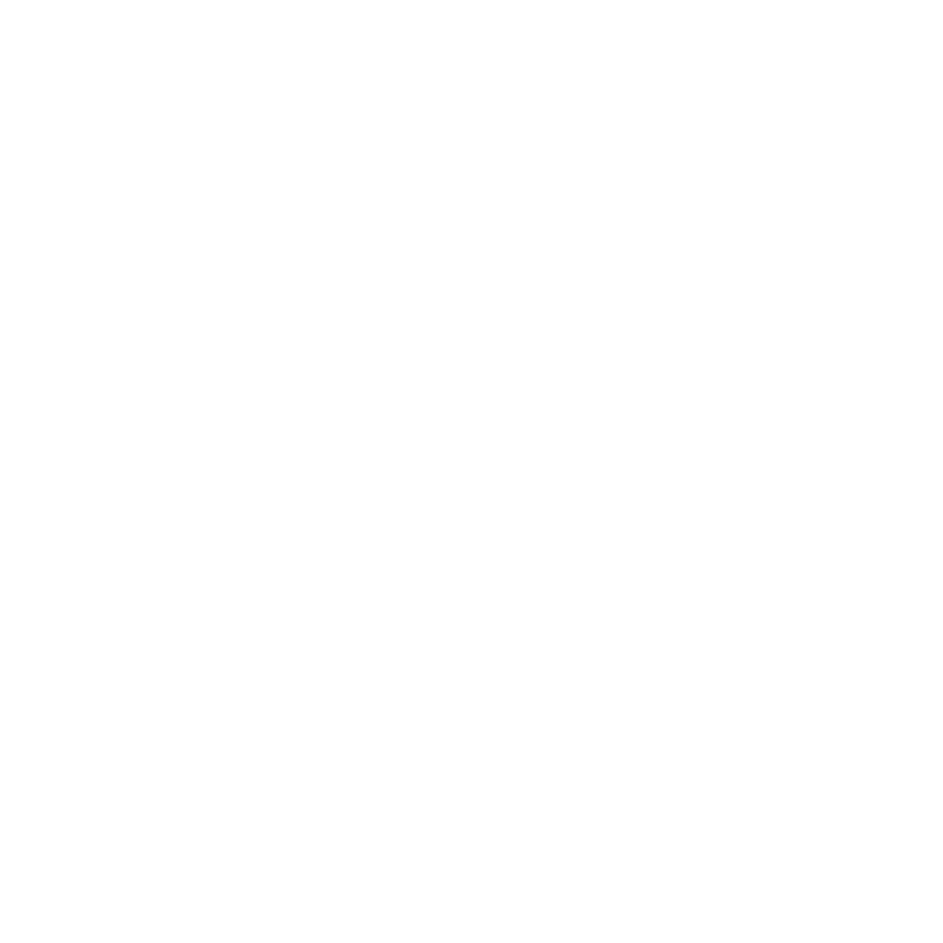 Logo-ENVT-blancvect