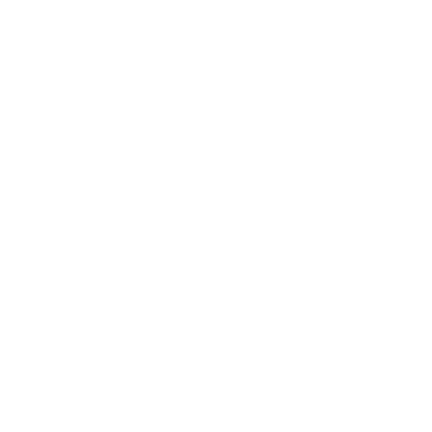 Logo-shaanti-blancvect
